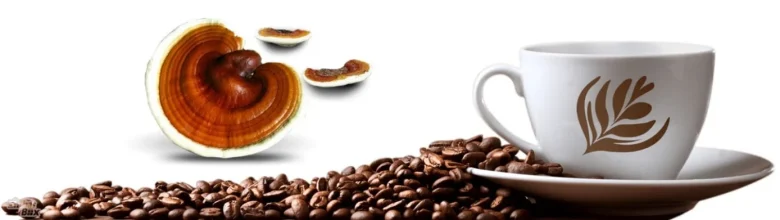 خرید قهوه گانودرما سوپریم از خاص باکس