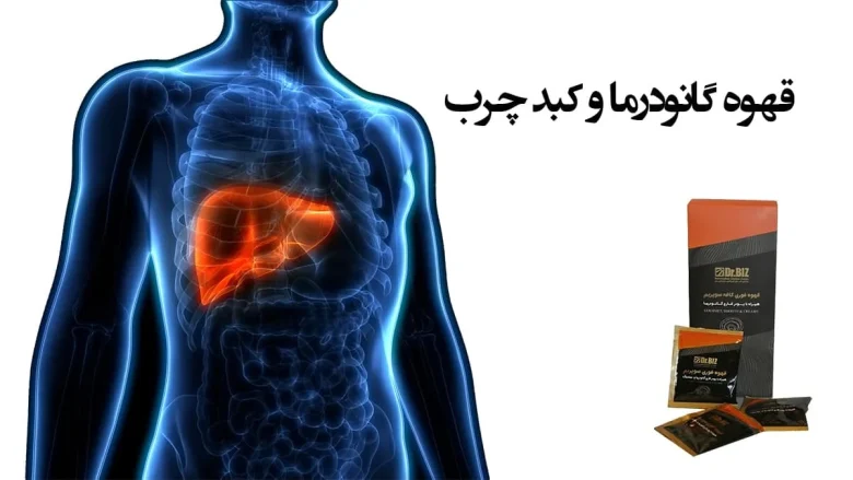 قهوه موکا گانودرما برای کبد چرب