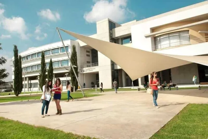 Immigration to Cyprus through education