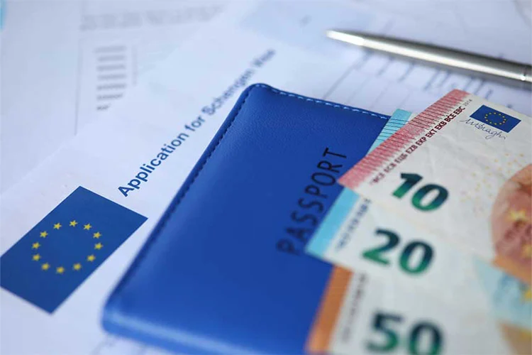 Schengen visa for transit driver