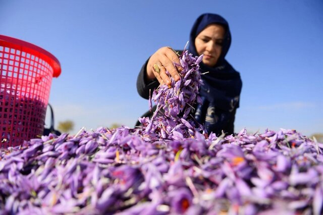 تحقق ۹۳ درصدی اهداف اشتغال خانگی در دولت سیزدهم