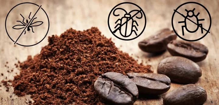 تفاله قهوه برای درختان میوه
