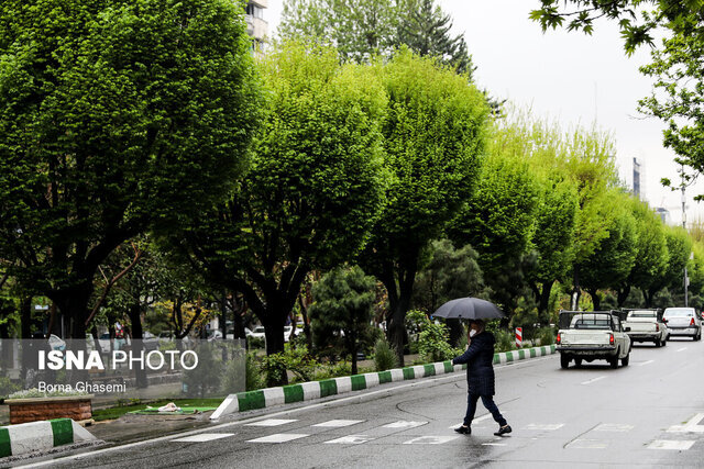 رگبار باران در برخی استان‌ها/ وزش باد شدید در شرق کشور