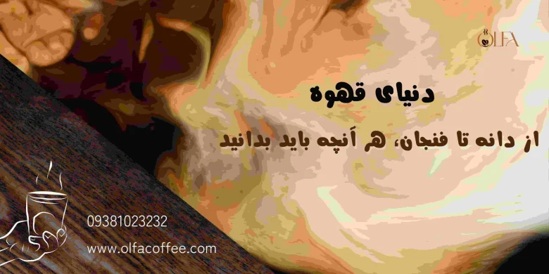 دنیای قهوه: از دانه تا فنجان، هر آنچه باید بدانید
