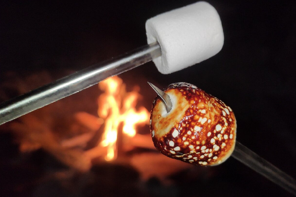 ایمنی |خانواده