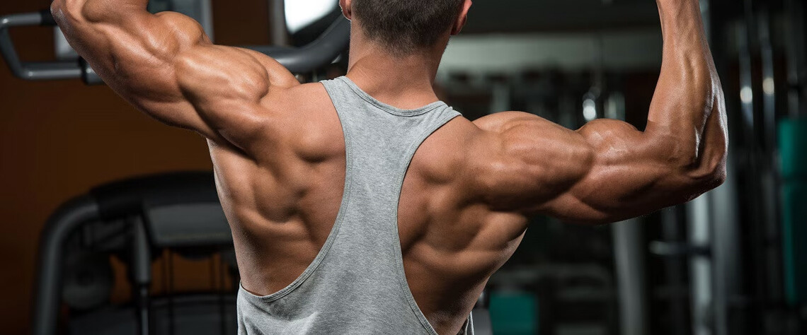 ایمنی |عفونت راهنمای خرید از مرکز معتبر مکملهای بدنسازی